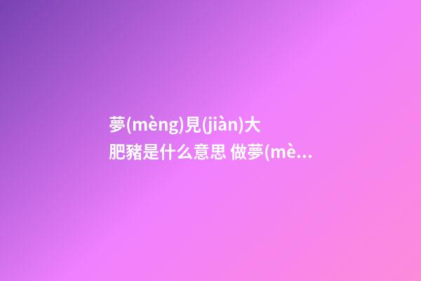 夢(mèng)見(jiàn)大肥豬是什么意思 做夢(mèng)夢(mèng)到大肥豬好不好